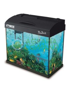 NEW MOBY DICK  TROPICAL  BLACK